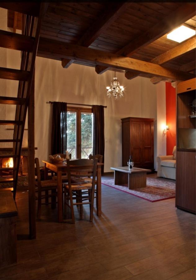 Guesthouse Elaia Synikia Mesi Trikalon Exterior foto