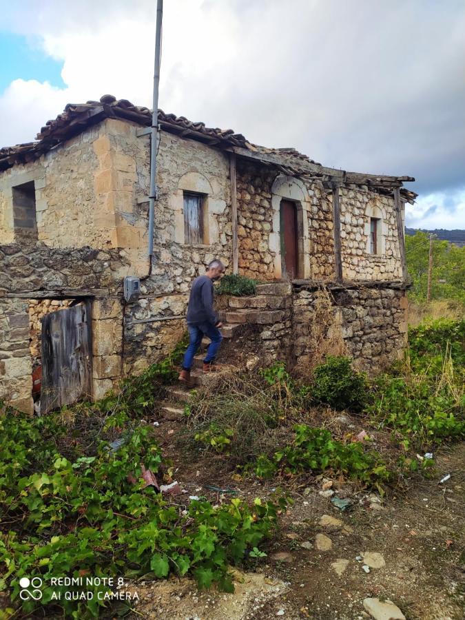 Guesthouse Elaia Synikia Mesi Trikalon Exterior foto