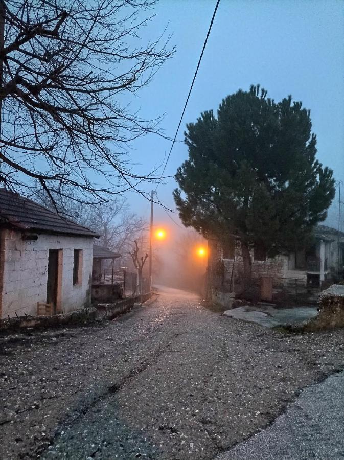 Guesthouse Elaia Synikia Mesi Trikalon Exterior foto