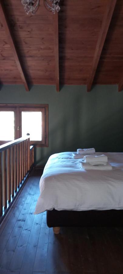 Guesthouse Elaia Synikia Mesi Trikalon Exterior foto